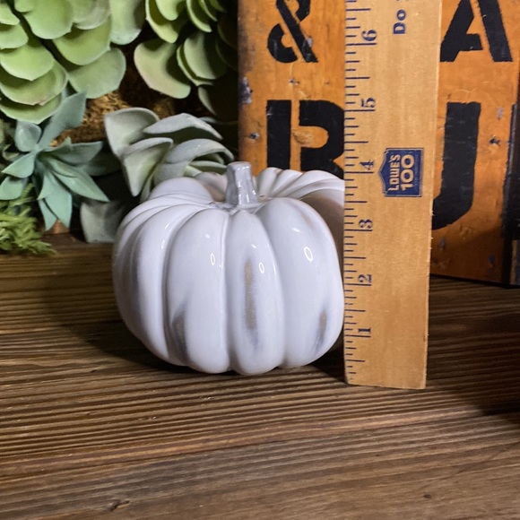 Crate&Barrel White Hand Glazed Ceramic Pumpkins - Set of Two - Medium and Small - Picture 13 of 16